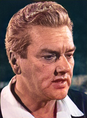 Milivoje Gugulović-photo